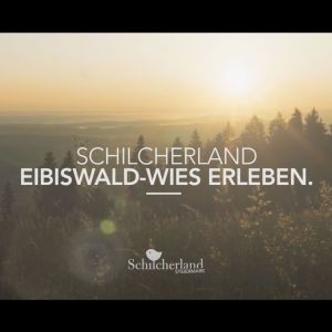 Schilcherland Eibiswald Wies