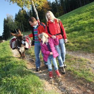 Eselwandern in Oberhaag