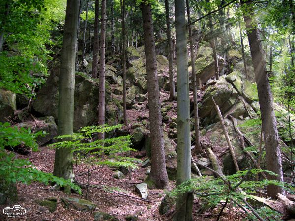 Eklogit Felsen in Wielfresen   Schilcherland